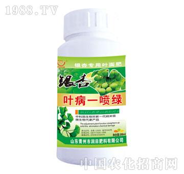 ����-�y���~��һ���G