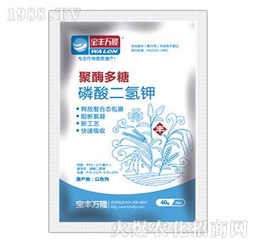 ��������-��ø����-���S�f(w��n)¡