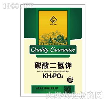 ��������-��1000g��-��(qi��ng)�r(n��ng)����