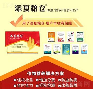 ����I(y��ng)�B(y��ng)��Q����-���ļZ�}(c��ng)-�S�՘�(l��)