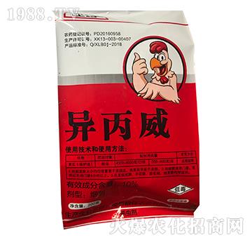 10%������-�Z��