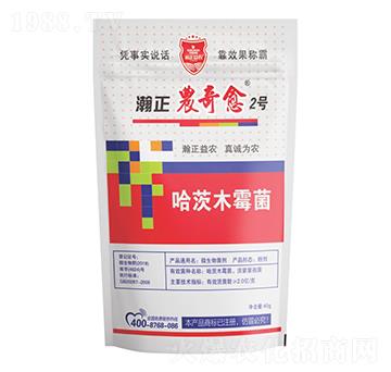 ����ľù��-����r����2̖-������r