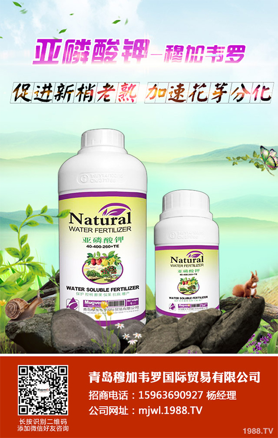 ���{(l��n)ܛ��������Щ�Y����F(xi��n)������ΰl(f��)���������{(l��n)ܛ�����A(y��)����ʩ