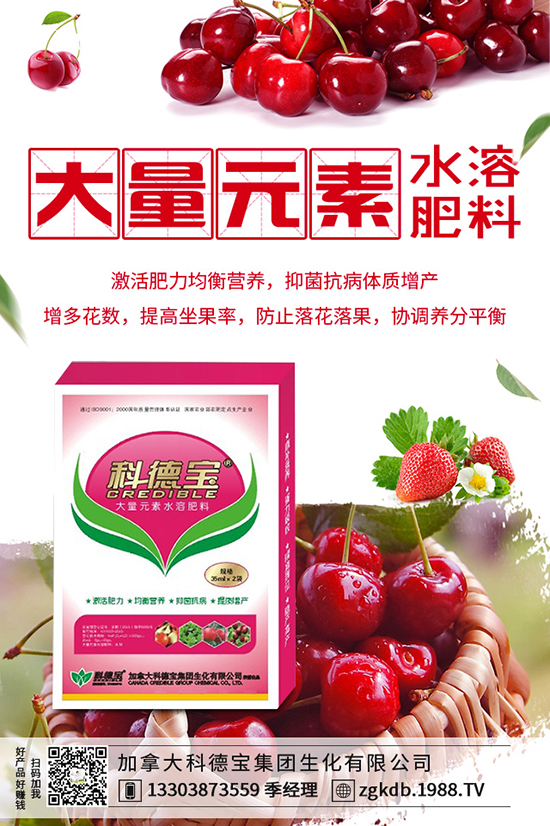 ������(ji��)�N��ᘹ����������������(ji��)��ᘹ�����������