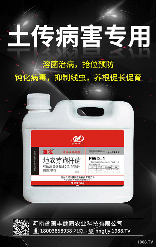 小麥除草劑什么時(shí)候打好,小麥打除草劑的時(shí)間及注意事項(xiàng)!