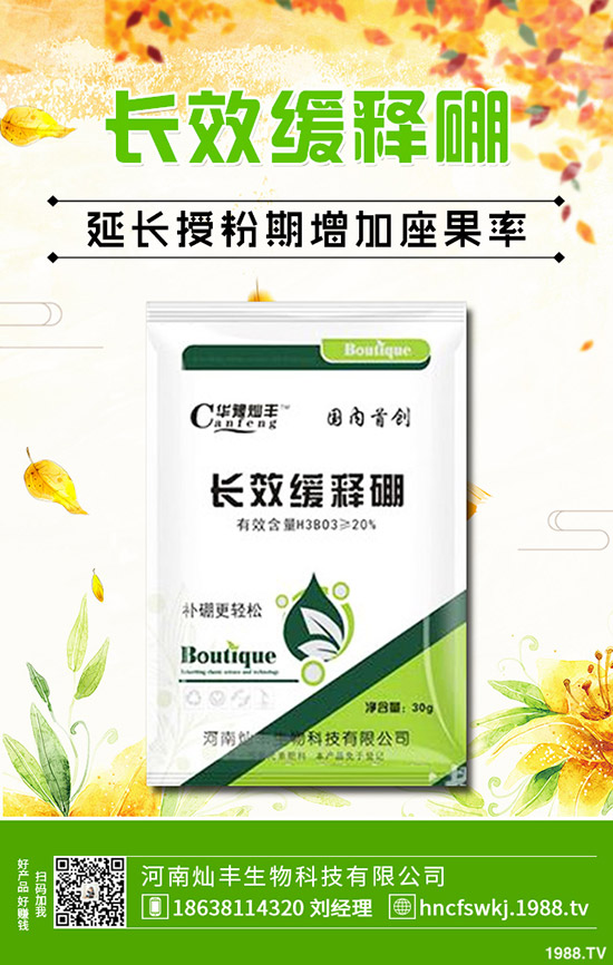 金錢(qián)草和銅錢(qián)草有什么不同?金錢(qián)草和銅錢(qián)草的區(qū)別哪些?