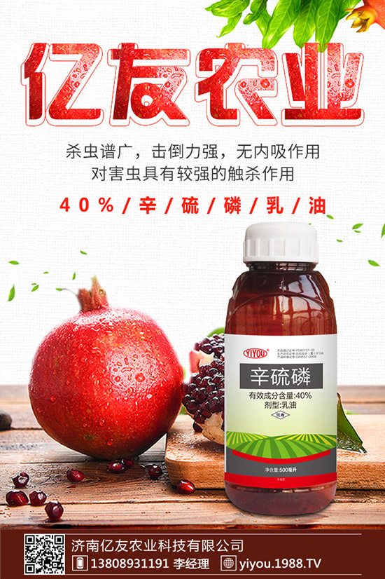 臘梅種子怎么種,臘梅種子種植方法!