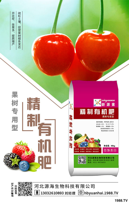 2020���㹽�Nֲǰ�������2020���㹽�Nֲٍ�X����