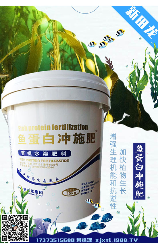 種植菠菜為什么出苗少?如何促進(jìn)菠菜發(fā)芽出苗?