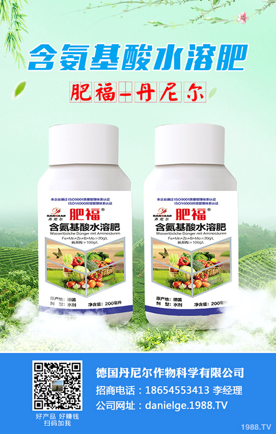 ���ӵĹ�Ч�c���������ӵ����x������