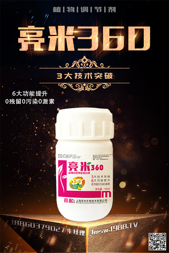 穿心蓮有哪些生長習性?穿心蓮葉的種植技術(shù)!