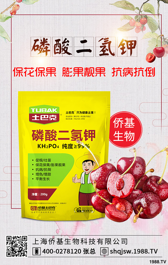 ������Ĺ�Ч�c������������ĠI�B(y��ng)�rֵ��