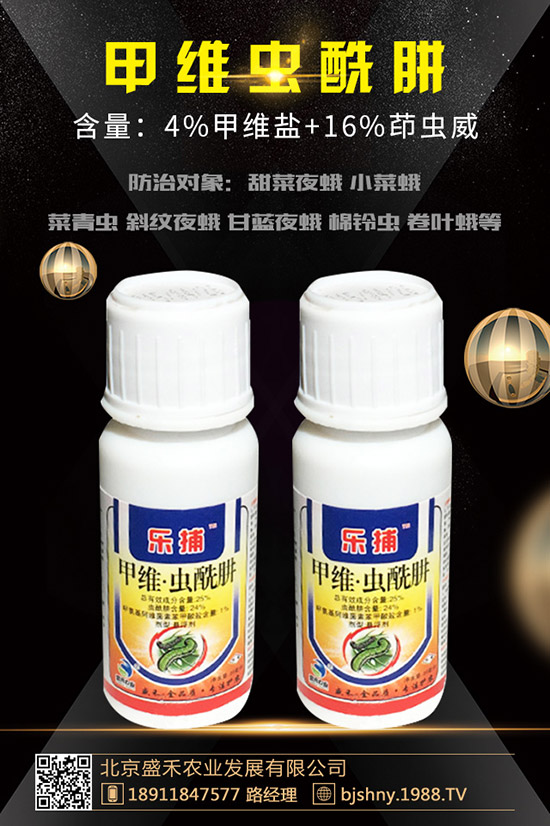     ���������ܚ�ʲô�x�����ʹ���������������c(di��n)�˽�ô��