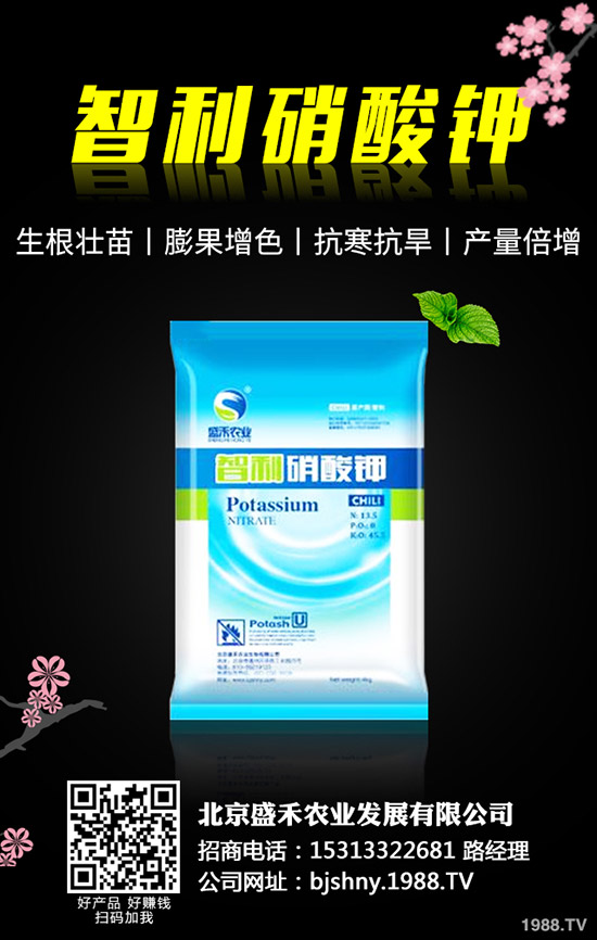 �ڶ�ʲô�r(sh��)��Nֲ���ڶ��ķNֲҪ�c(di��n)����Щ��