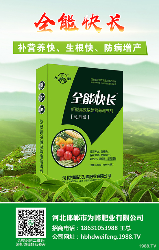 五味子樹該如何種植?五味子規(guī);N植技術(shù)