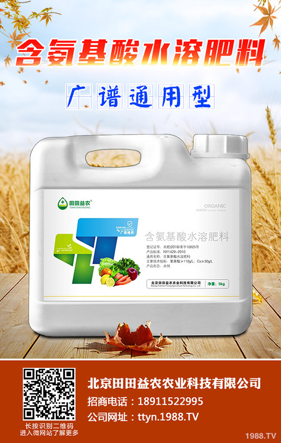 ⛷ʃr���^�m(x��)���{(di��o)��⛷ʃr������һ�[2019-11-14