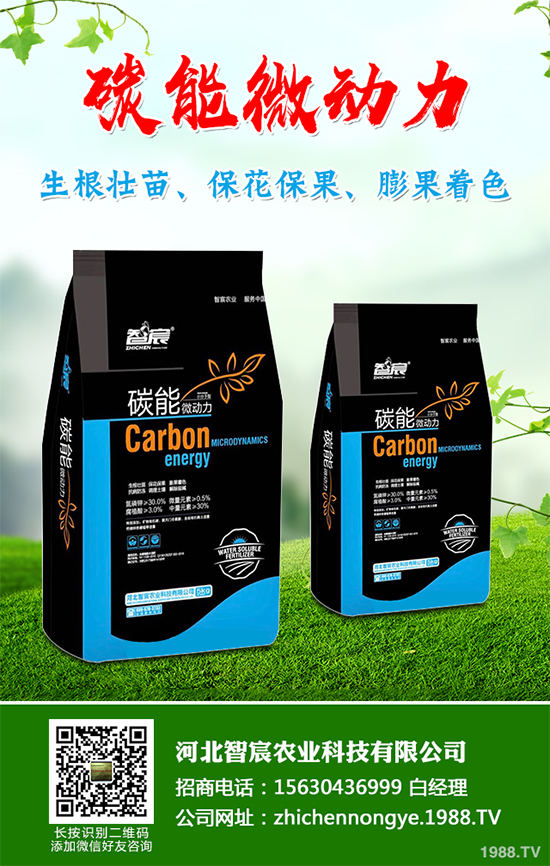 ���������߲˷Nֲԓע��ʲô����ӛ�e�M(j��n)�@�����`�^(q��)