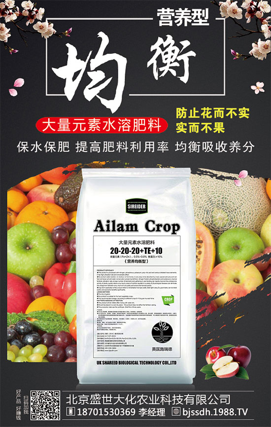 ���ӵĠI(y��ng)�B(y��ng)������t���ֵĹ�Ч�c���ã�