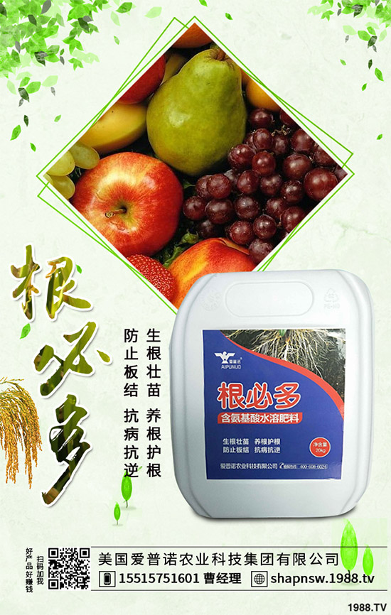 ������ô�������ܸ߮a(ch��n)�����Ӹ߮a(ch��n)�ߴ������ʩ