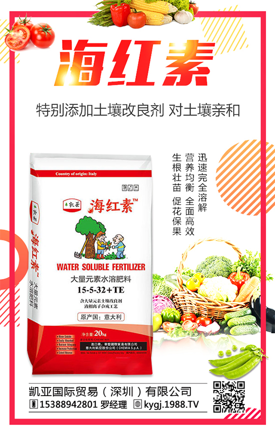 �����˵ķNֲ�r(sh��)�g�����������˷Nֲ������