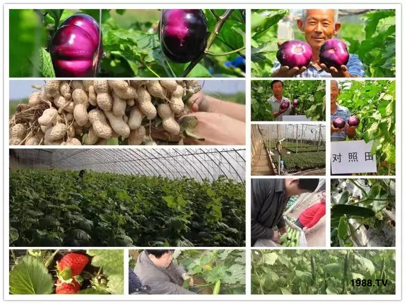 �VԴ�S����⛡�����Ʒ�ʣ�1����=8���ЙC(j��)�����½�Դ�^ֱ�l(f��)������