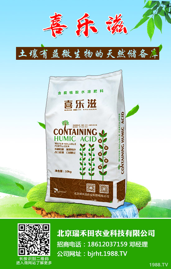 �����~Ƭ�l(f��)�S����ô�����������~Ƭ�l(f��)�S��ô������