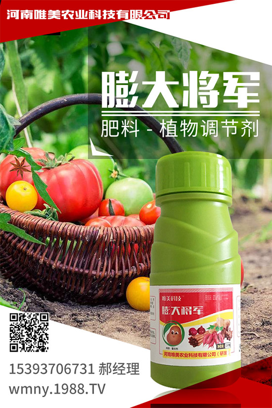 ��������ʲô��̎�����x���ֵ�С������