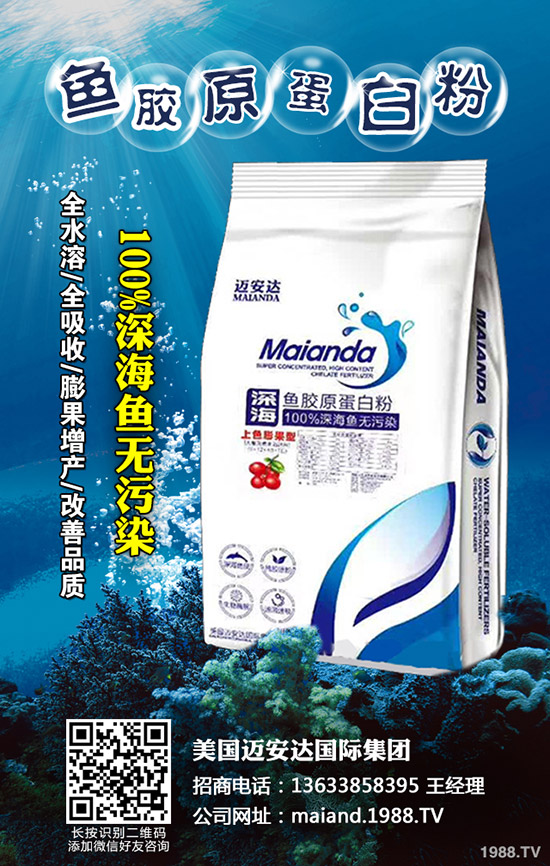     ���؃r(ji��)��Ҋ(ji��n)�������վֲ��^(q��)�������Ј�(ch��ng)����2019-11-19