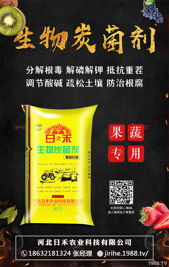 ���[��ֲ�������ˆ������[��ֲ����ֲ���������