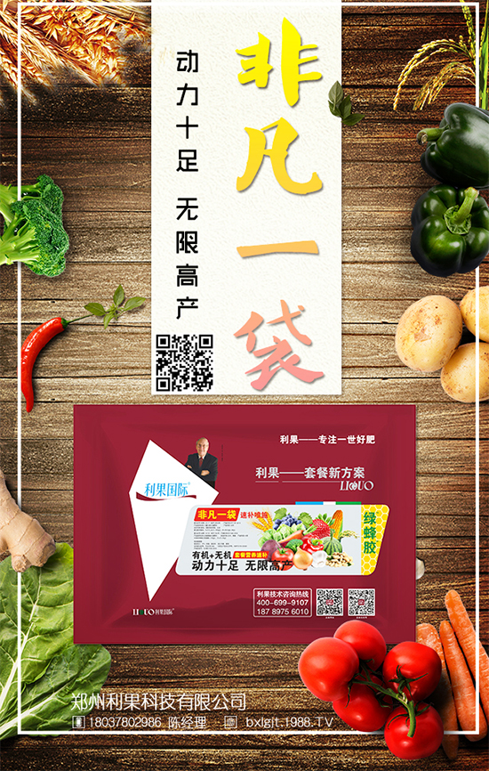 冬天大白菜如何儲存?冬季大白菜保鮮方法