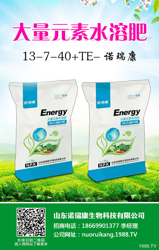 2020年大蒜價格行情怎么樣?賺錢不?種植面積會增大么?