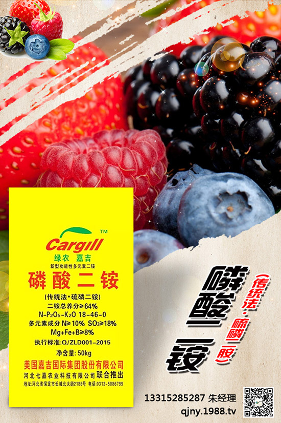 С����ʲô����(ji��)���N������Щ�Nֲ���ɣ�