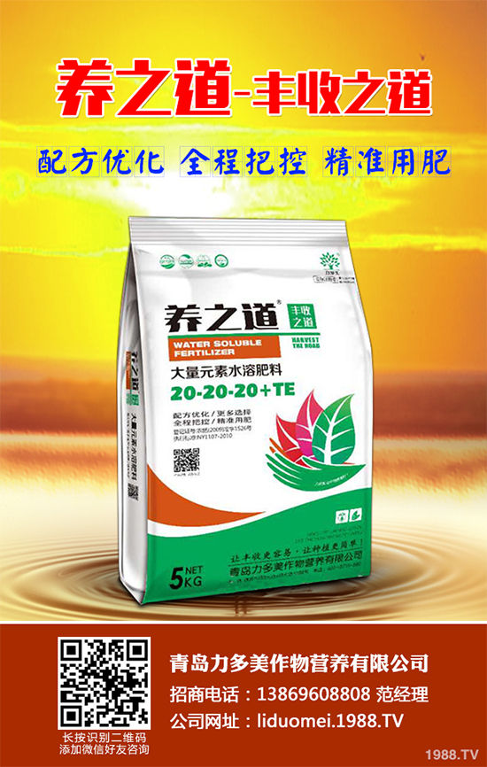 ��Ƥ�ɼٻ���զ���£���Ƥ�ɼٻ��Q��ʩ