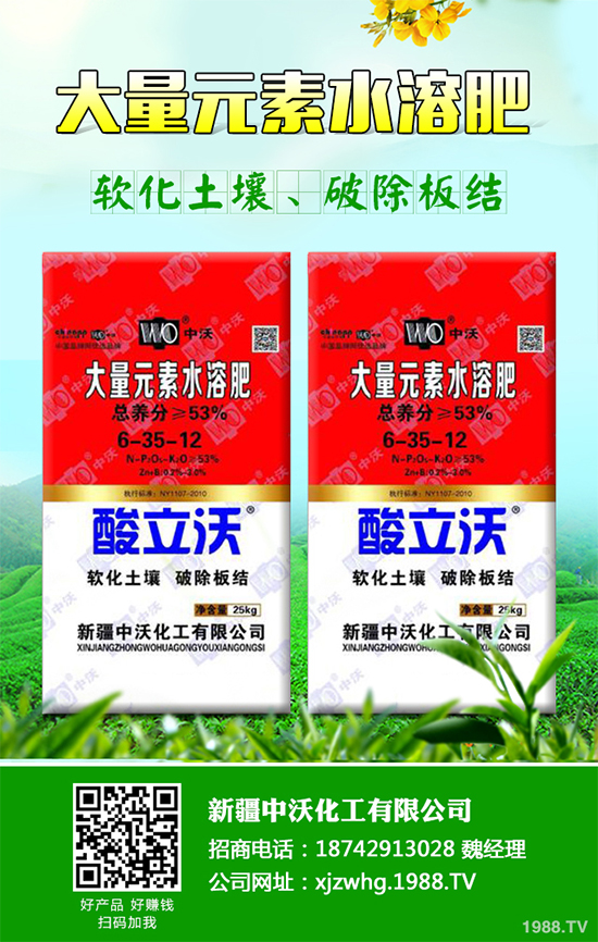 白皮松經(jīng)濟效益如何?2020白皮松的種植前景分析