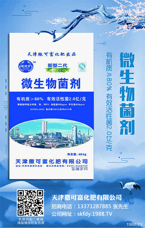 ��Ƥ�����Ժ���S��զ������ԓ��ô��Q�����������