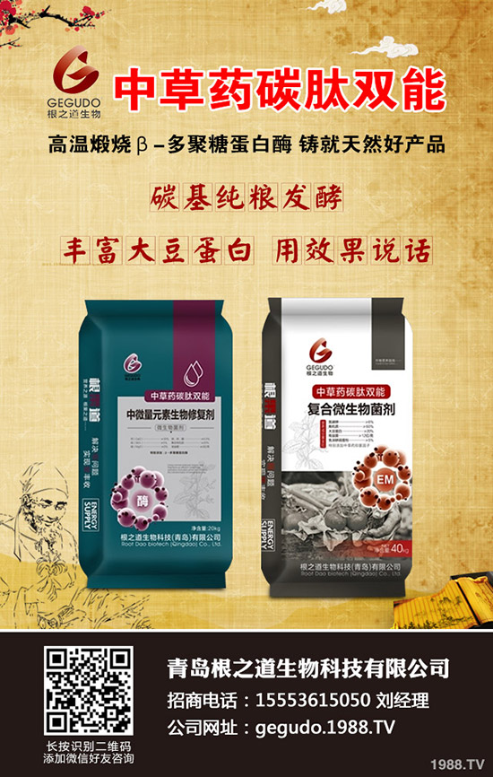 �������N����ĕ������������N�r�g��������