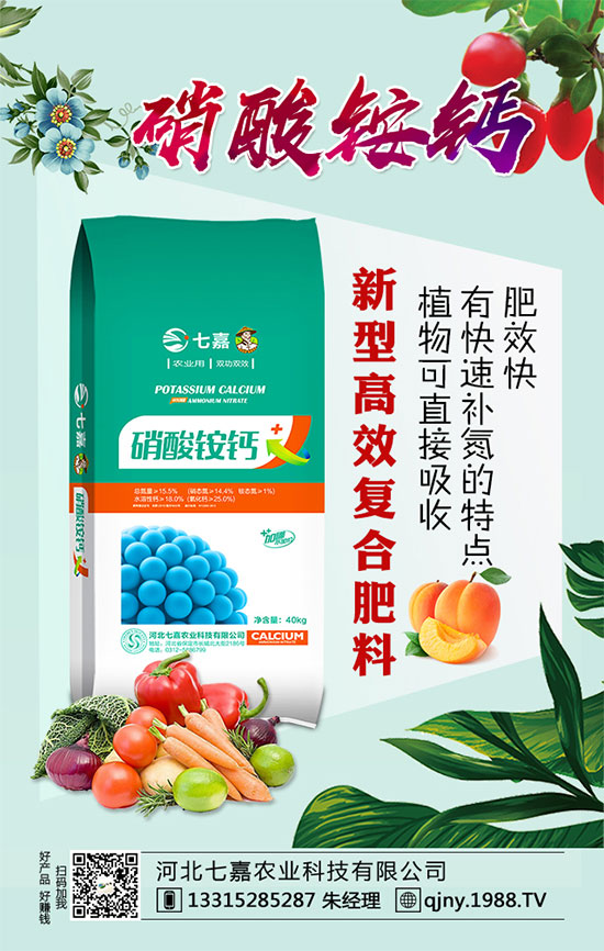 2020年茶籽價(jià)格多少錢(qián)一斤?油茶樹(shù)種植前景如何?(附種植技術(shù))