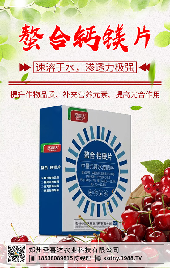 洋薊有哪些營養(yǎng)價(jià)值?洋薊的營養(yǎng)價(jià)值及功效作用