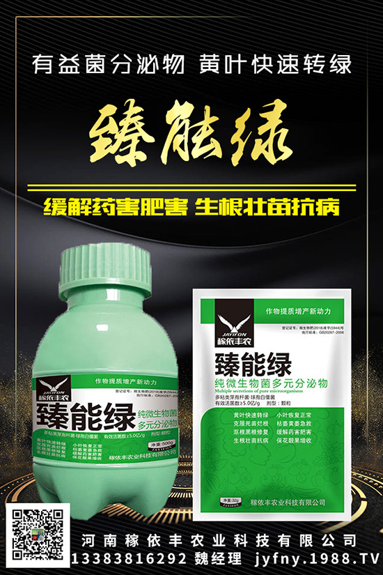 鉀肥不陌生,對(duì)作物的影響咱知道嗎?