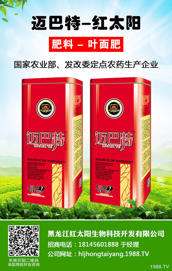 ���}�Nֲ��ýY(ji��)����һ��Y(ji��)�״ι������}�Nֲ������