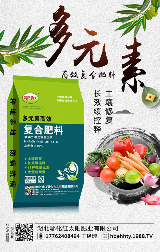 洋蔥什么時間種植?洋蔥的種植要點!