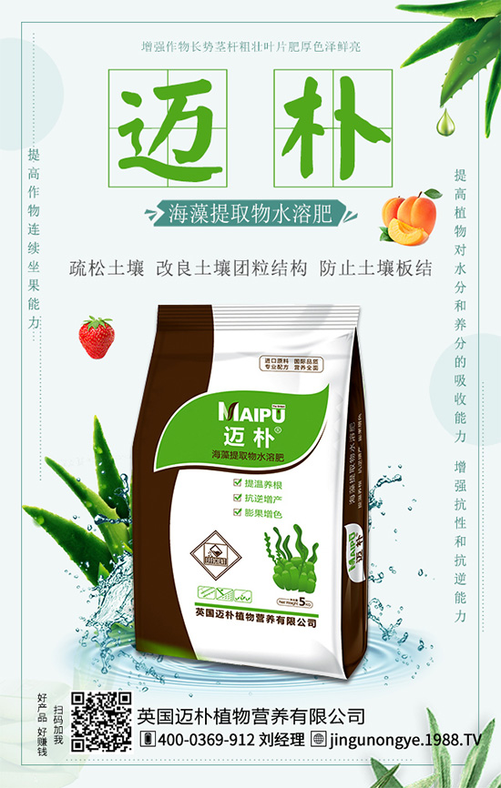 吃柑橘有什么好處?柑橘的營(yíng)養(yǎng)價(jià)值!