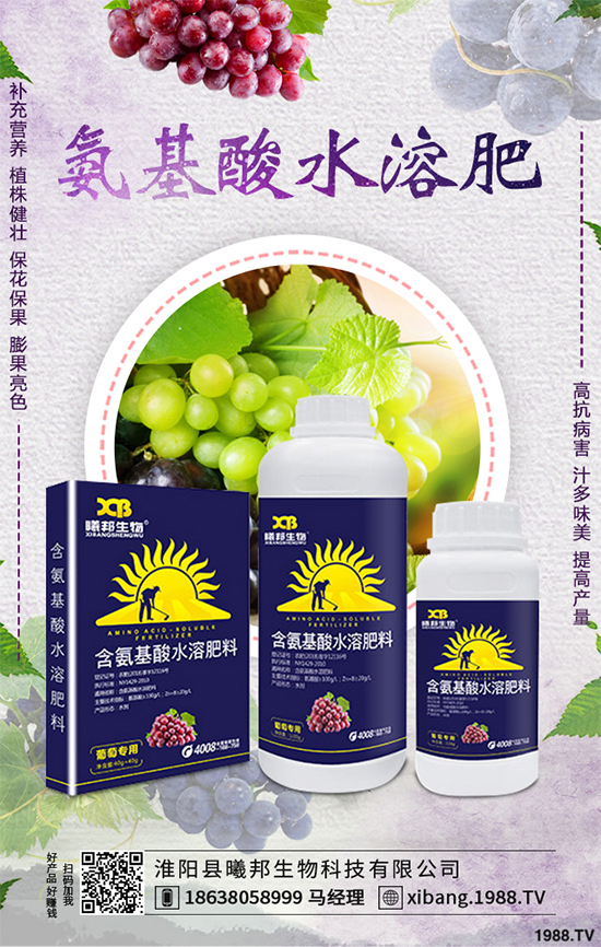 明年種植什么更賺錢?2020年七大賺錢種植項目,快來看看吧!