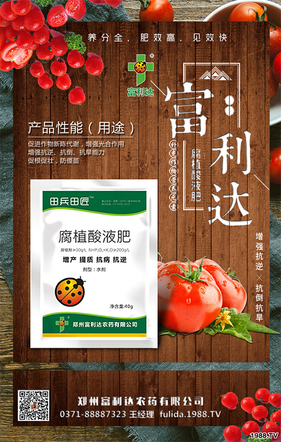 �Nֲʲôˎ����ٍ�X��2020����ˎ�ķNֲǰ������