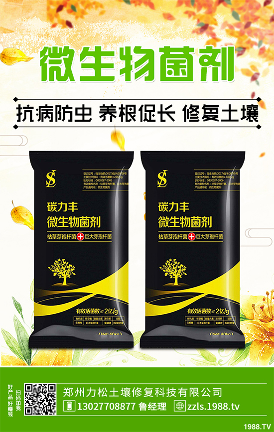 �Nֲʲôˎ����ٍ�X��2020����ˎ�ķNֲǰ������