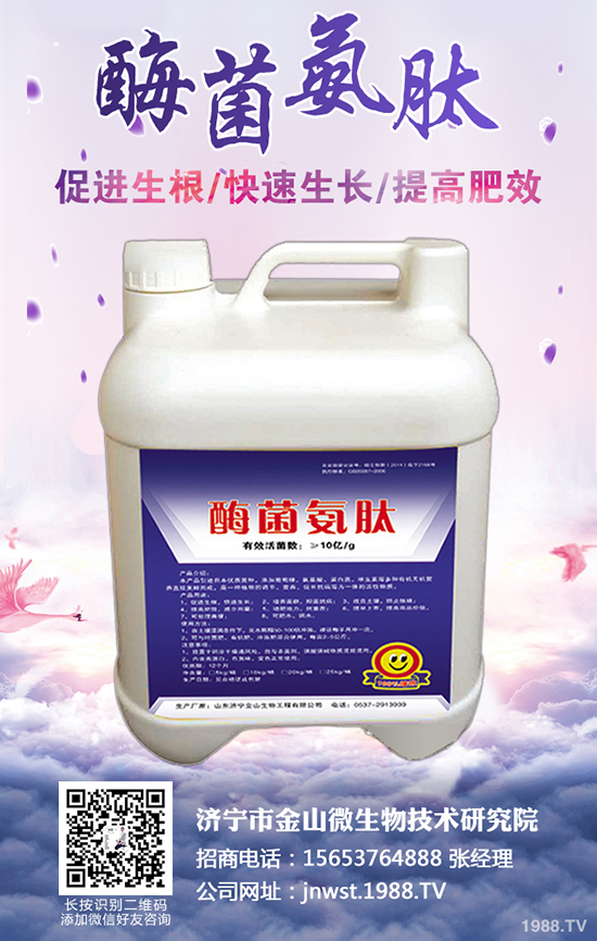 �r(n��ng)����ʺ�����ô�l(f��)������ʩ������α���ʺ��l(f��)����