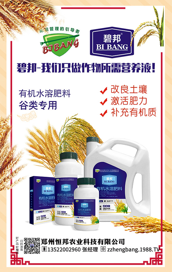 ����������Щ��̎������Ĺ�Ч���ü�ʳ�ý���