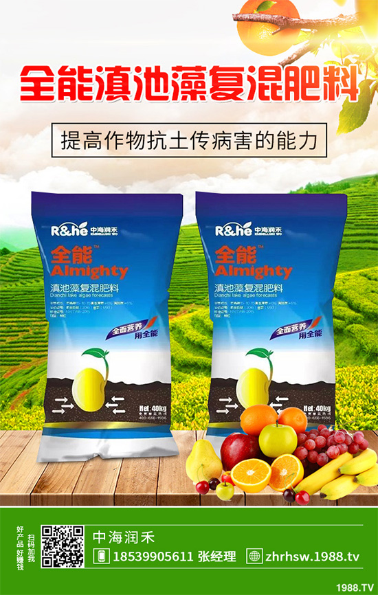 ���r����͸���������Щ�^(q��)�e���ǂ�(g��)Ч�����ã�