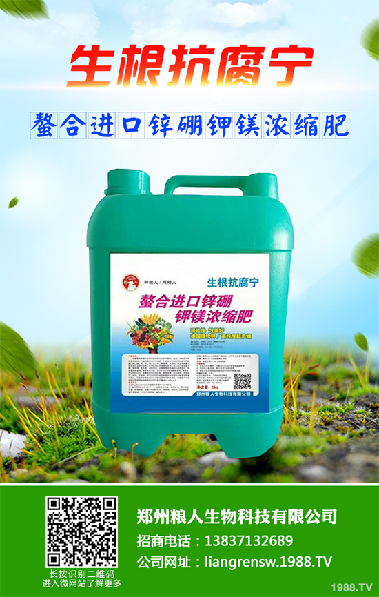 ���r����͸���������Щ�^(q��)�e���ǂ�(g��)Ч�����ã�