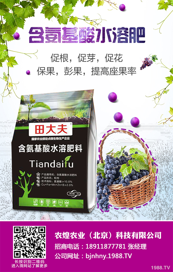 ��ѩ�^�����߲˴�����֪��ԓ��ô����᣿